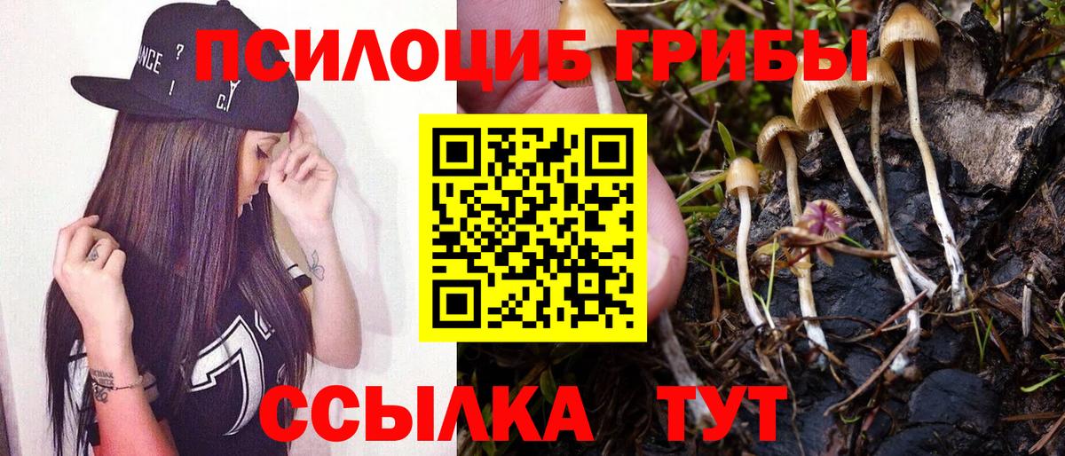 Елец  хочу наркоту  Галлюциногенные грибы Psilocybine cubensis  Вход с VPN  Галлюциногенные грибы Psilocybine cubensis 